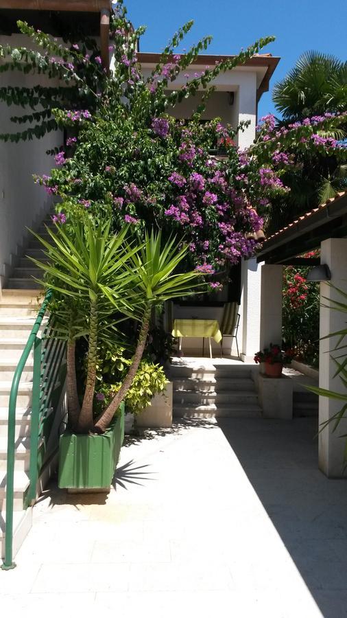 Apartments Soric Rovigno Esterno foto